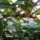 요수정옆 이미지