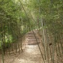 현충원 산책길 이미지