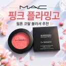 맥 블러셔 추천, 스킨피니시 컬러스트럭 블러쉬 핑크 플라밍고 웜톤 코랄 치크 후기