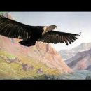 El Condor Pasa - Paul Simon &amp; Garfunkel 이미지