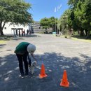 제주펫스쿨 이미지