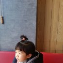 국수나무 함안점