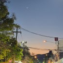 크로스로드커피 | 치앙마이 한달살기 22일｜마호리 바 · 크로스로드 락 바 · 피티 · 란조크파렉 · 맥도날드
