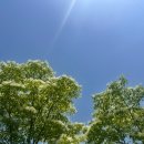 최참판댁소형주차장 이미지