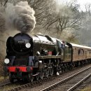 칙칙폭폭 이미지