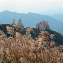 군산백산산악회 11월(천관산) 115회 산행안내 이미지