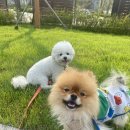 멍클래스 이미지