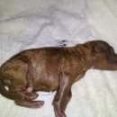 건국동물병원 이미지