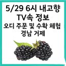 신촌농원