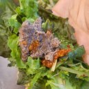 (주)언양전통불고기 | 울산 울주군 [언양전통불고기] 방문 후기