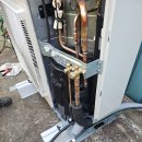 가정지천 이미지