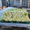 애니카랜드(오류점) | K5 히터불량 시동꺼짐