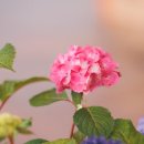 아이랑펜션 이미지