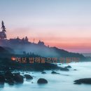 폰리더 네이버블로그