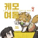 여몽 티스토리