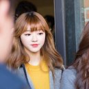 언니머리 Daum카페