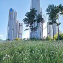 역북문화공원 이미지