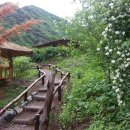 산골초가