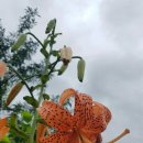 자미원농장 이미지