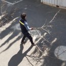 동평여자중학교 이미지