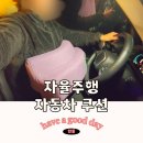 자율주행쿠션 추천 자동차쿠션 바른자세
