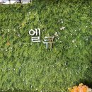 엘큐카페 이미지