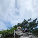 주봉농장 이미지