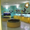 곤충박물관 1층 이미지
