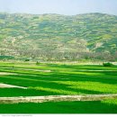 봄을 그리며 이미지