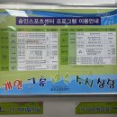 서울신답초등학교 | [수영일기] 동대문구 숭인스포츠센터 자유수영 후기 (월 자유수영/일일입장)