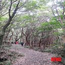 동산제1호 이미지