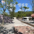 격포채석강카공업사 | 아이들과 가기 좋은 부안 캠핑장 노을숲캠핑장