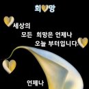 늘청춘