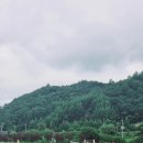 메밀꽃필무렵 이미지