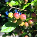 이레밥상 이미지