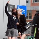 로제 이미지