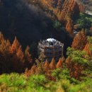 장태산휴양림 이미지