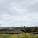 스테이김녕 이미지