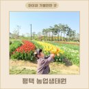 평택 농업생태원 놀이터 튤립 토끼 아이와 나들이