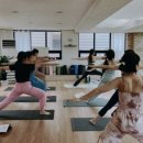 웰니스 코리아 | [잼플 복지 운영 사례] 앱스플라이어코리아의 웰니스 복지ㅣ회사 동아리, 직원 복지