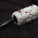 하나인쇄광고 이미지