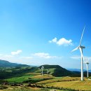 삼양목장 이미지