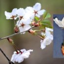 행정법률사무소 이미지