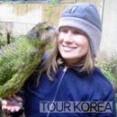 그린미디어 - 안산시 단원구 | 그린미디어