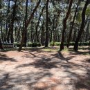 연곡약국 이미지