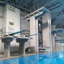 하이점프 체육관 | 고양체육관 다이빙 하이다이빙 수업 정보 2, 3회차 후기