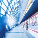 알파행정사 이미지