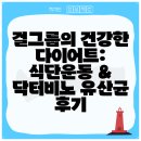 비노 | 걸그룹의 건강한 다이어트: 식단운동 &amp; 닥터비노 유산균 후기