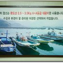 완도수산야채막회 이미지