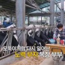 부자목장 이미지